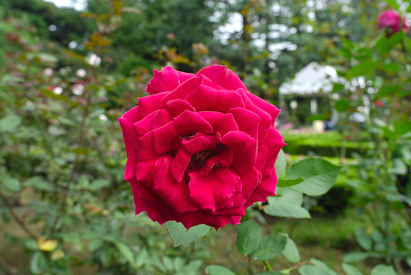 image0240