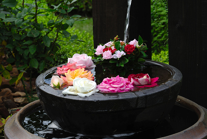 image0248