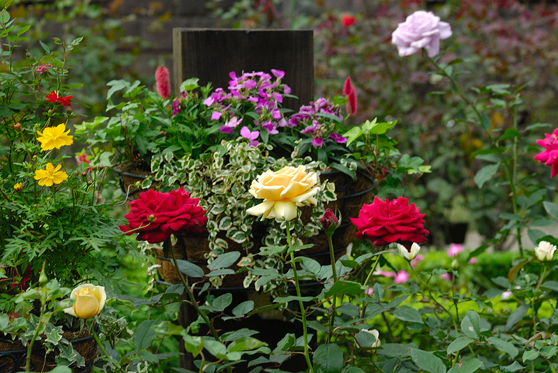 image0250