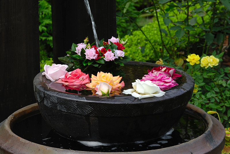 image0252