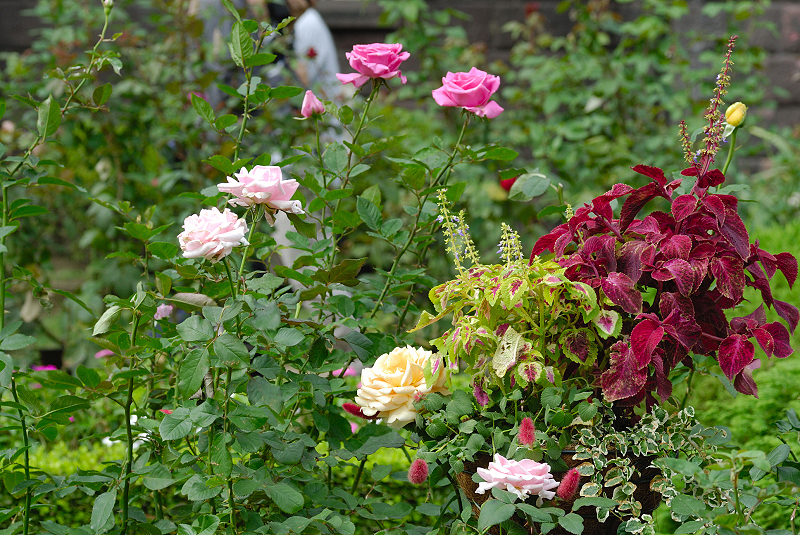 image0254