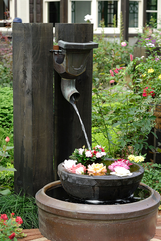 image0255