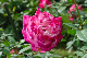 image0128