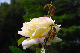 image0131