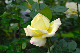 image0132