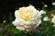 image0138