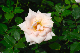 image0143
