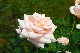 image0145