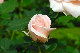 image0146