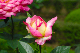 image0147