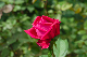 image0154