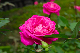 image0156