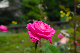 image0157