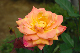 image0158