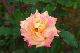 image0159
