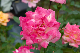 image0160