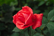 image0162