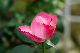 image0164