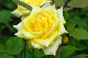 image0166