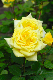 image0167