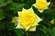 image0168