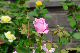image0169