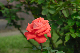 image0170