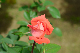 image0173