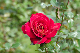 image0175