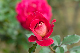 image0176