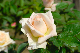 image0178