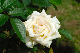image0179