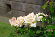image0180