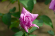 image0183