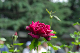 image0184