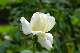 image0186