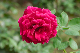 image0191