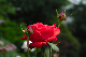 image0192