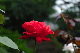 image0193