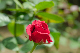 image0195