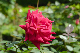 image0196