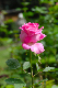image0197