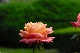 image0202