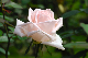 image0204