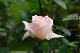 image0205
