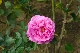 image0210
