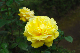 image0211
