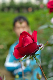 image0212