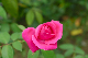 image0213