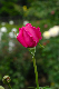 image0214